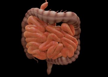 intestine, biology, science, bowels, research, medicine, healthcare, black science, black research, black medicine, black healthcare, intestine, intestine, intestine, intestine, intestine