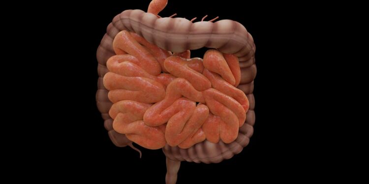 intestine, biology, science, bowels, research, medicine, healthcare, black science, black research, black medicine, black healthcare, intestine, intestine, intestine, intestine, intestine