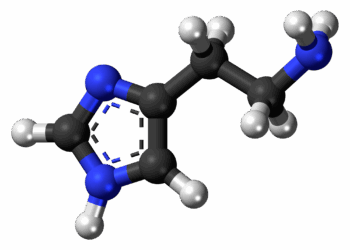 L’histamine : bien plus qu’une molécule d’allergie, un régulateur majeur de l’équilibre neuro-immuno-digestif