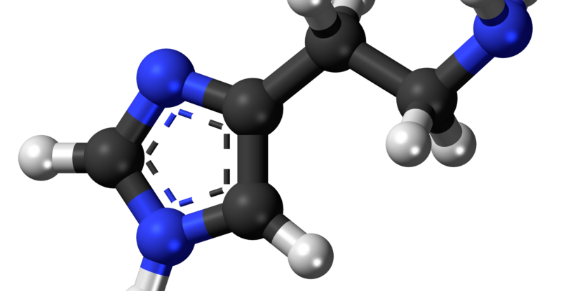 L’histamine : bien plus qu’une molécule d’allergie, un régulateur majeur de l’équilibre neuro-immuno-digestif
