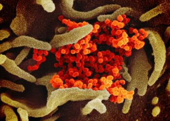 a close up of a red and yellow substance