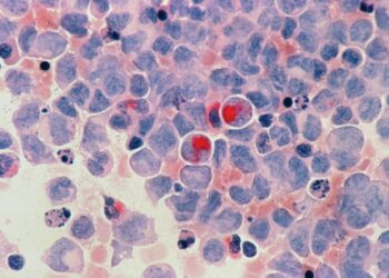 red round fruits on white and blue surface