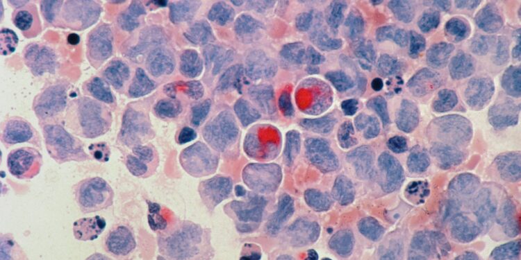 red round fruits on white and blue surface