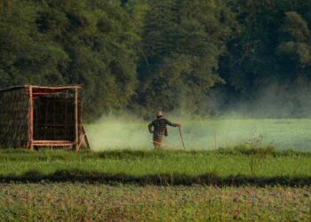 a man walking across a lush green field