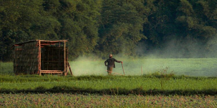 a man walking across a lush green field