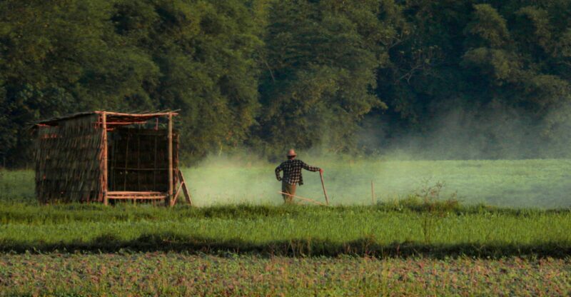 Le glyphosate : un perturbateur endocrinien, immunotoxique et destructeur du microbiote au cœur d’un enjeu sanitaire mondial