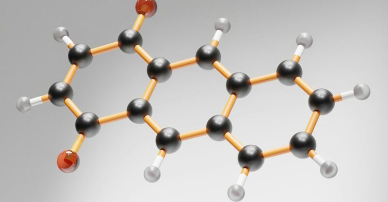 Les acides aminés essentiels : les briques de la vie