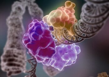 Manganèse : un oligo-élément discret mais essentiel