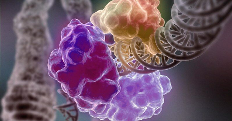 Manganèse : un oligo-élément discret mais essentiel