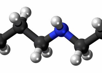 Spermidine : le carburant secret de l’autophagie et de la longévité