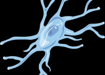 Microglies : les gardiennes du cerveau qui peuvent devenir destructrices