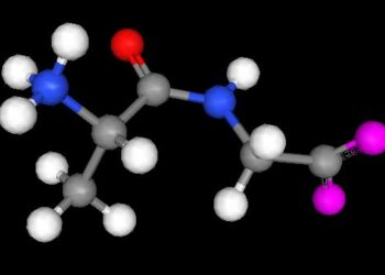 Carnosine : le tampon acide qui protège les muscles et ralentit le vieillissement
