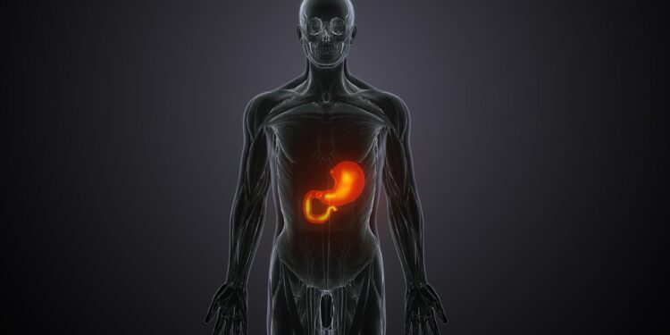 liver, treatment, doctor, hepatitis, metabolism, hepatology, inflammation, toxin, function, hepatic, cholecystitis, gastroenterologist, hepatologist, model, anatomical, human, man, patient, medical, clinic, test, cirrhosis, consultation, cancer, care, liver, liver, liver, hepatitis, hepatitis, metabolism, metabolism, metabolism, metabolism, metabolism, hepatology, gastroenterologist, cirrhosis