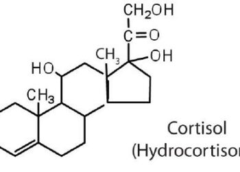 Cortisol Awakening Response (CAR) : le pic du matin qui conditionne toute la journée