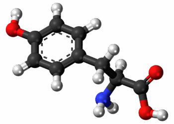 Tyrosine : le carburant de la dopamine et de la performance mentale