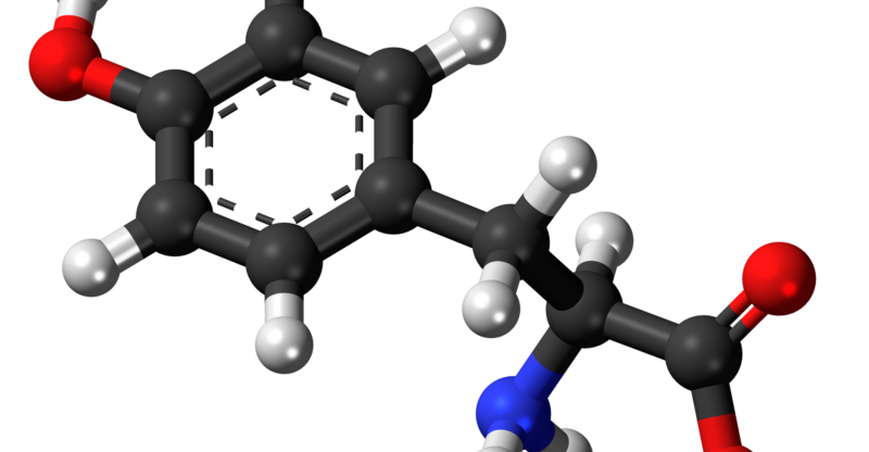 Tyrosine : le carburant de la dopamine et de la performance mentale