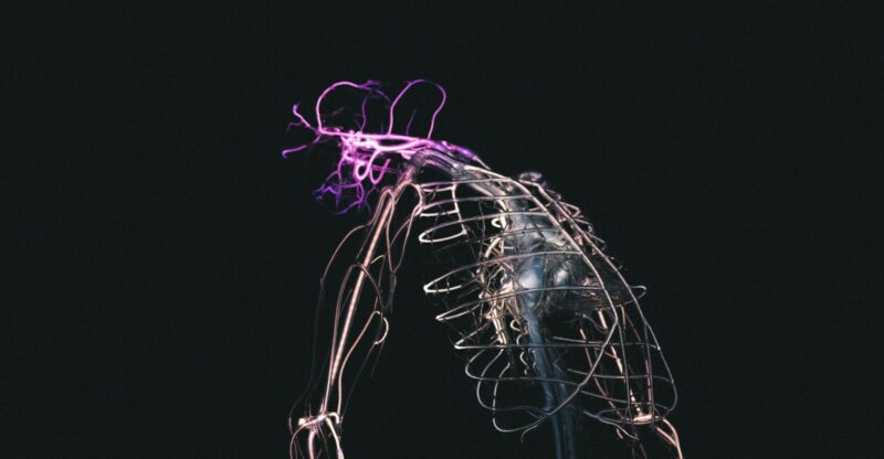 Système endocannabinoïde