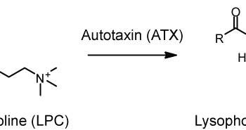 Autotaxine (ATX)
