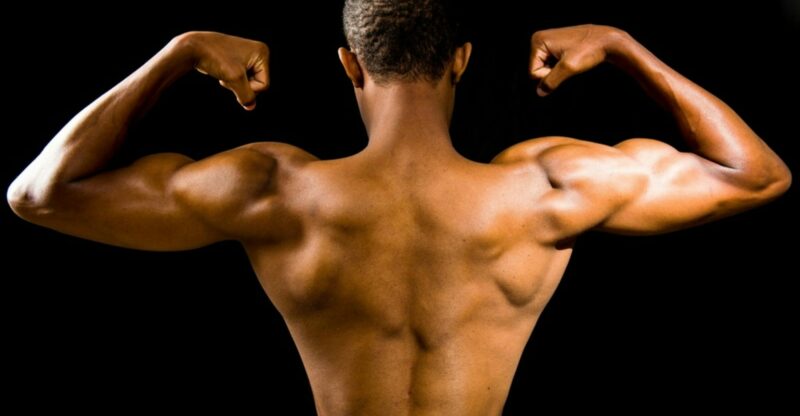 Sarcopénie : La Perte Musculaire Silencieuse Qui Accélère le Vieillissement