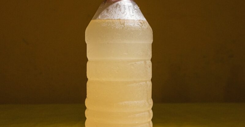 Acide Chlorhydrique (HCl) : Un Déterminant Sous-Estimé de la Santé Digestive