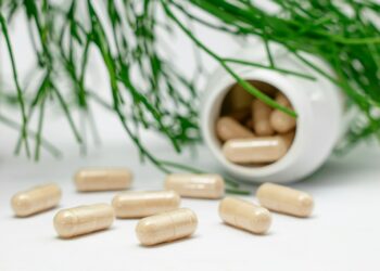 a group of nuts and a plant