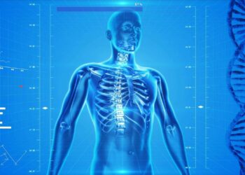 human skeleton, human body, anatomy, x-ray, human bones, skeletal system, healthcare, medicine, dna, helix, rib cage, skeleton, digital art, human body, human body, human body, human body, human body, healthcare, dna