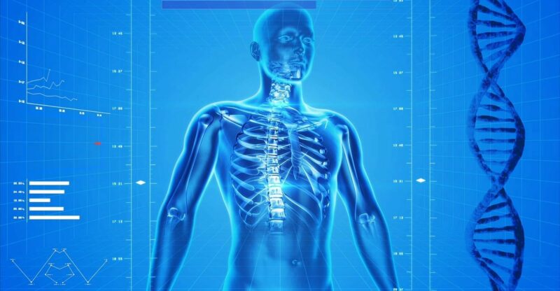 Hyperactivation du système immunitaire inné et inflammation de bas grade