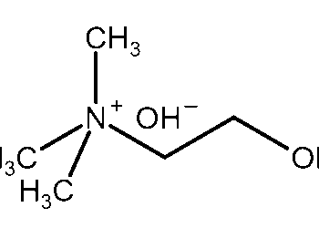 Carence en choline : conséquences métaboliques, hépatiques et neurologiques