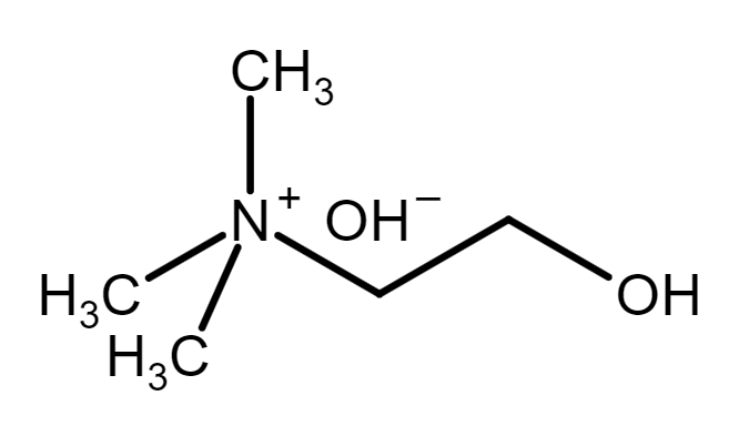 Carence en choline : conséquences métaboliques, hépatiques et neurologiques