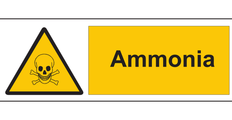 Surcharge en ammoniac et dysfonction métabolique