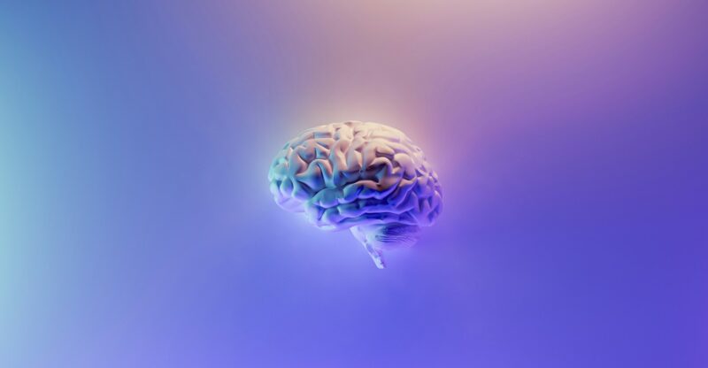 Inflammation neuro-systémique et dysfonctionnement cérébral
