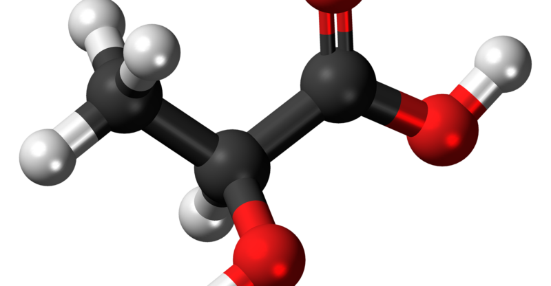 Altération du métabolisme du lactate et performance métabolique
