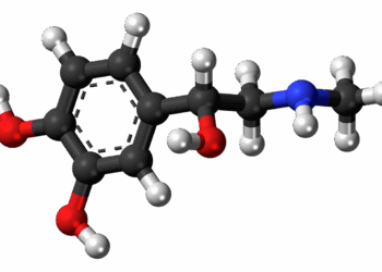 adrenaline, epinephrine, hormone, molecule, model, structure, chemistry, science, research, compound, hormone, hormone, hormone, hormone, hormone