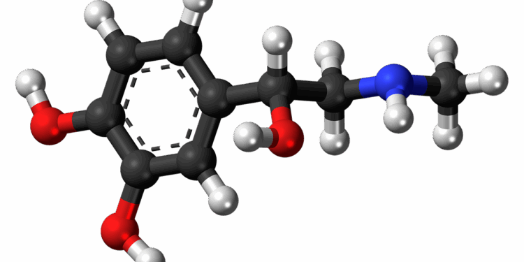 adrenaline, epinephrine, hormone, molecule, model, structure, chemistry, science, research, compound, hormone, hormone, hormone, hormone, hormone