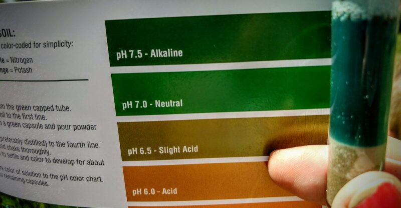 Déséquilibre acido-basique et inflammation de bas grade