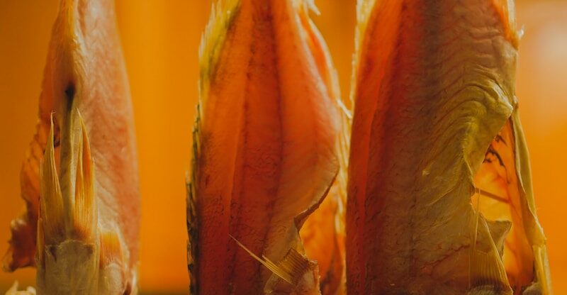 L’huile de poisson (EPA/DHA) : indispensable ou surcotée ?