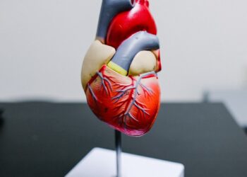 red and yellow bird figurine