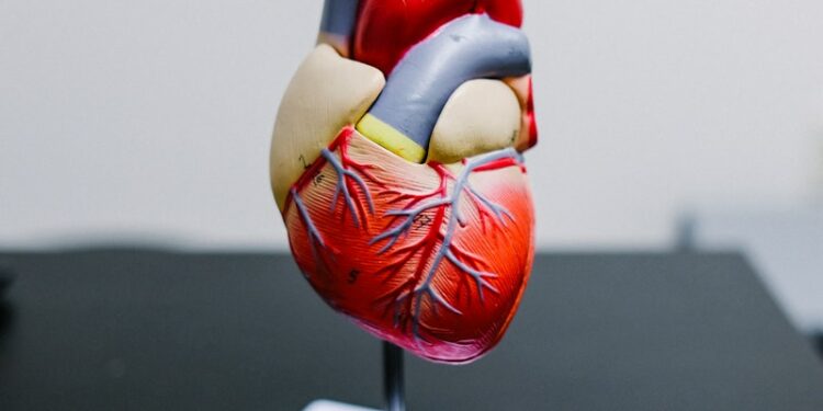 red and yellow bird figurine