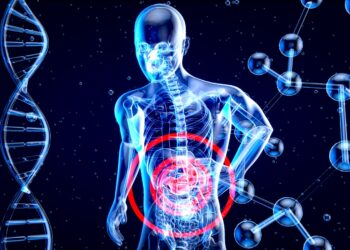 a 3d image of a human with a red circle in his stomach
