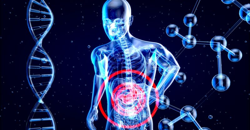 L’impact du microbiote sur la santé mentale