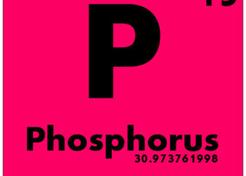 Déficit en phosphore