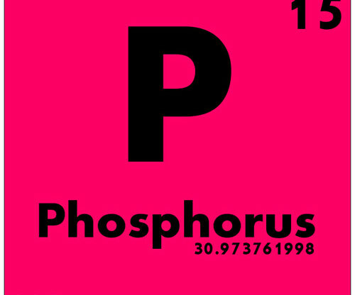 Déficit en phosphore