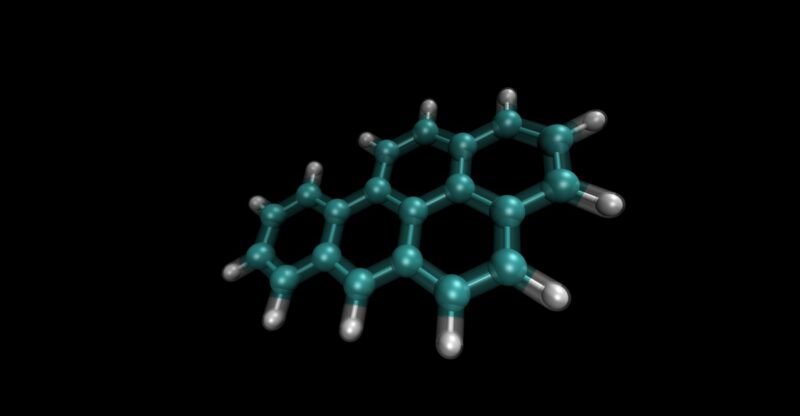 Dérèglement du métabolisme du tryptophane et conséquences systémiques