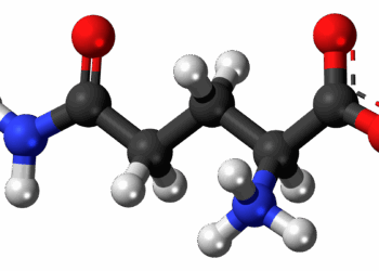 Carence en glutamine