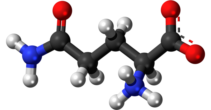 Carence en glutamine
