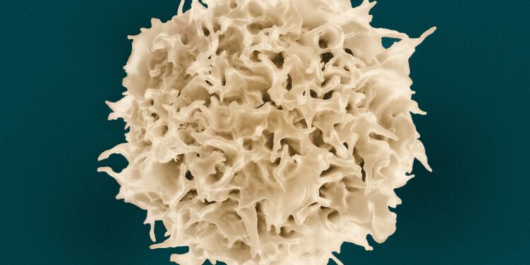 a close up of a white substance on a blue background