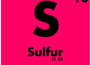 Dérèglement du métabolisme du soufre