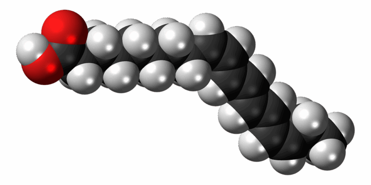 alpha parinaric acid, unsaturated, fatty acid, molecule, model, structure, chemistry, science, compound, research, atoms, fatty acid, fatty acid, fatty acid, fatty acid, fatty acid