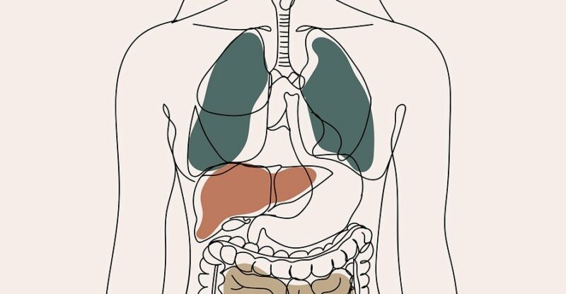 Dérèglement intestin–cerveau