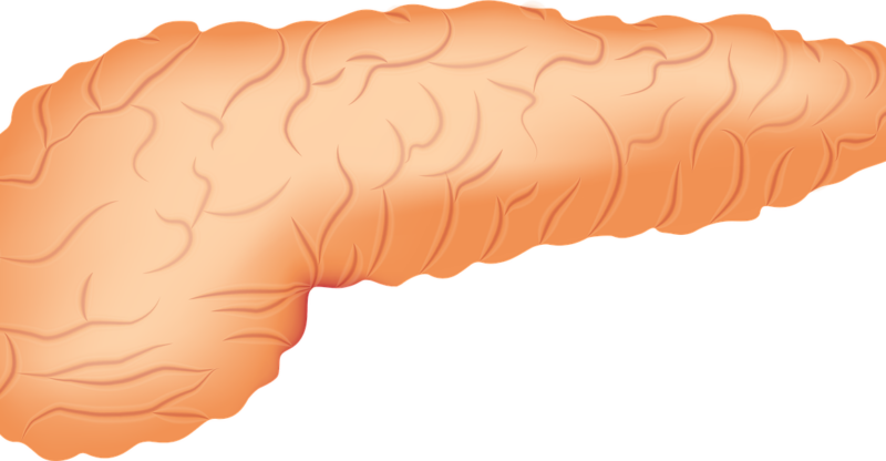 Hypofonction du pancréas exocrine